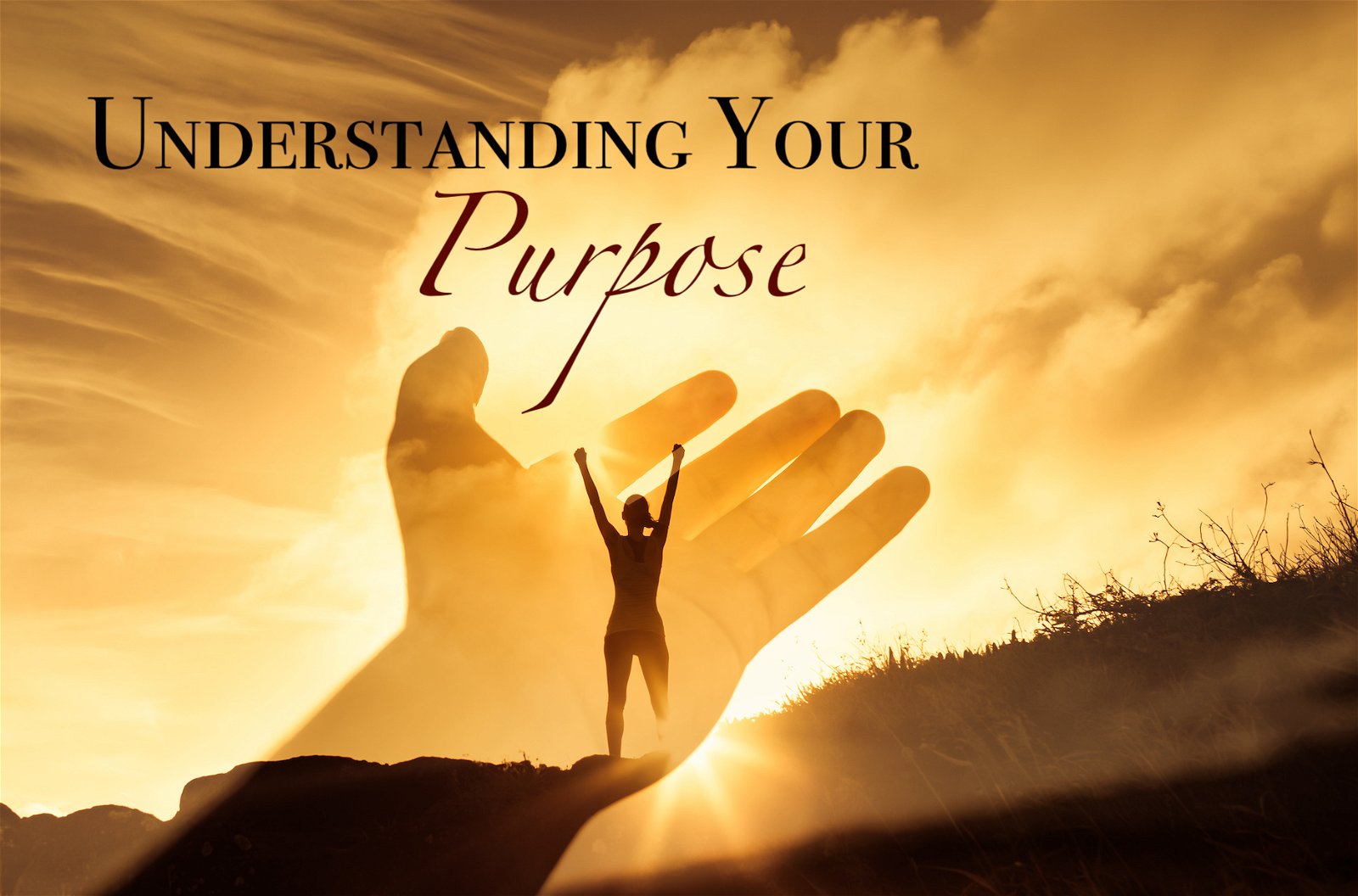 Understanding Your Purpose!