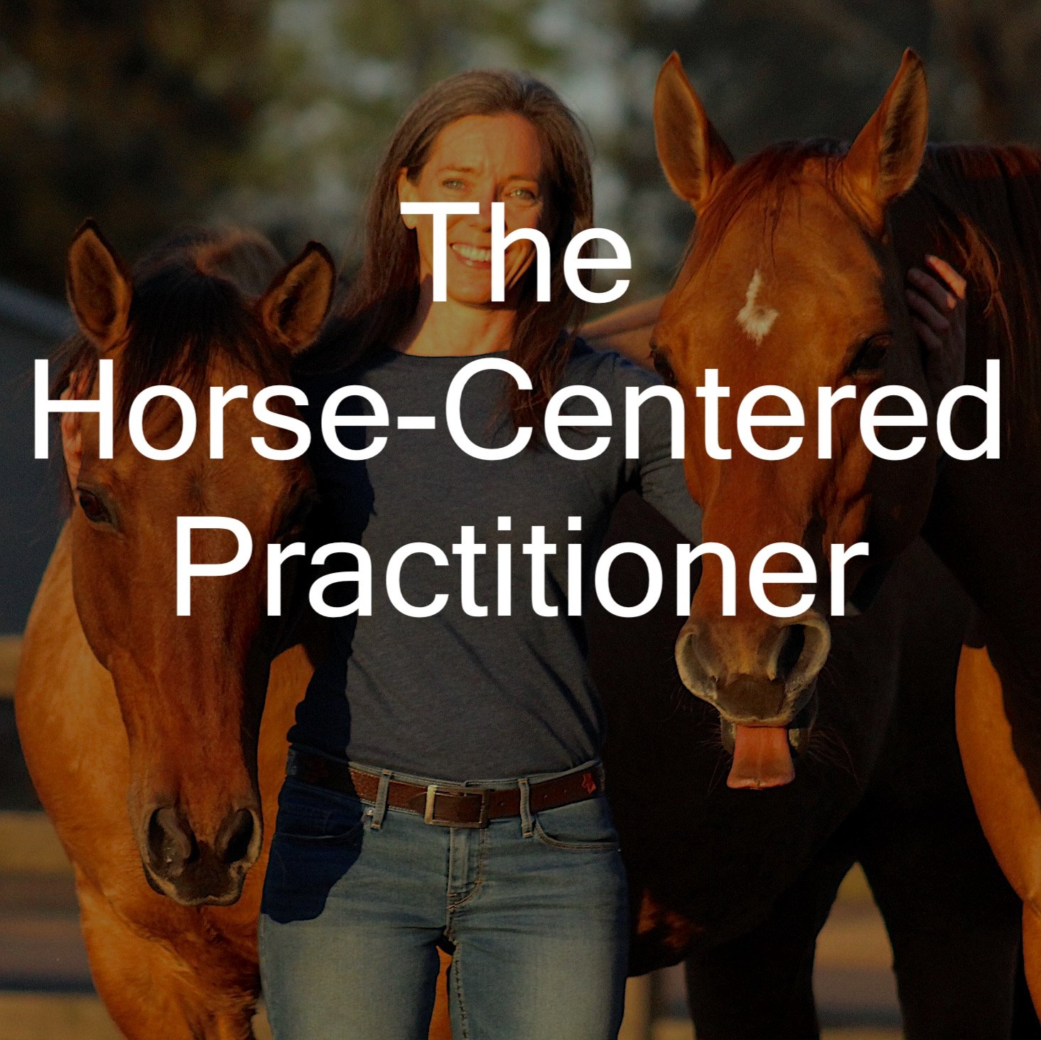 The Horse-Centered Practitioner